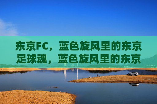 东京FC,蓝色旋风里的东京足球魂,蓝色旋风里的东京足球魂 东京FC,蓝色旋风里的东京足球魂,蓝色旋风里的东京足球魂