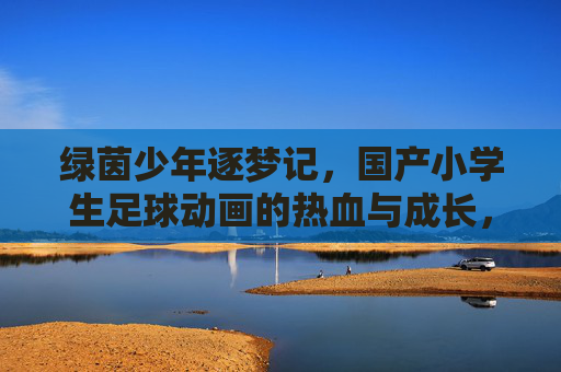 绿茵少年逐梦记，国产小学生足球动画的热血与成长，绿茵少年逐梦，国产足球动画的热血成长