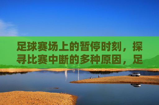 足球赛场上的暂停时刻,探寻比赛中断的多种原因,足球暂停时刻,比赛中断原因探析 足球赛场上的暂停时刻,探寻比赛中断的多种原因,足球暂停时刻,比赛中断原因探析