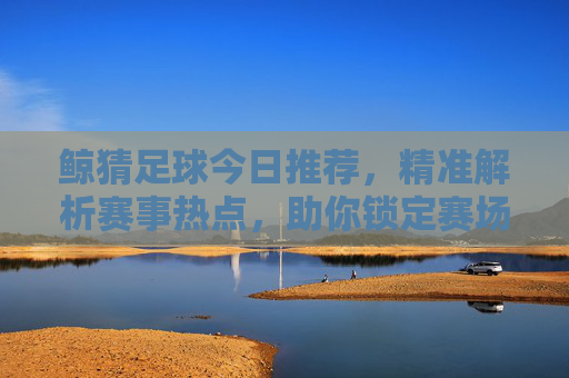 鲸猜足球今日推荐，精准解析赛事热点，助你锁定赛场赢家，鲸猜足球今日推荐，精准解析热点，锁定赛场赢家