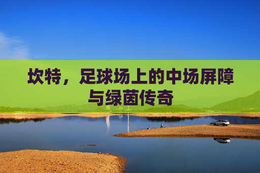 坎特，足球场上的中场屏障与绿茵传奇