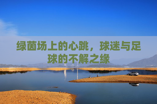 绿茵场上的心跳，球迷与足球的不解之缘