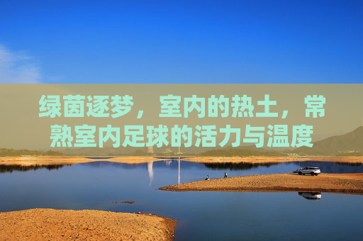 绿茵逐梦,室内的热土,常熟室内足球的活力与温度 绿茵逐梦,室内的热土,常熟室内足球的活力与温度