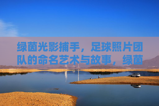 绿茵光影捕手，足球照片团队的命名艺术与故事，绿茵光影捕手，足球照片团队的命名艺术与故事