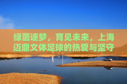 绿茵逐梦,育见未来,上海迈鼎文体足球的热爱与坚守,绿茵逐梦,热爱坚守育未来 绿茵逐梦,育见未来,上海迈鼎文体足球的热爱与坚守,绿茵逐梦,热爱坚守育未来