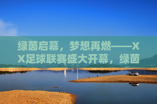 绿茵启幕，梦想再燃——XX足球联赛盛大开幕，绿茵启幕，梦想再燃——XX足球联赛盛大开幕