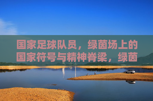 国家足球队员,绿茵场上的国家符号与精神脊梁,绿茵场上的国家符号与精神脊梁 国家足球队员,绿茵场上的国家符号与精神脊梁,绿茵场上的国家符号与精神脊梁