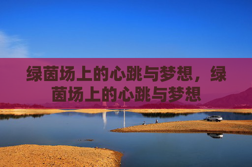 绿茵场上的心跳与梦想，绿茵场上的心跳与梦想