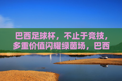 巴西足球杯，不止于竞技，多重价值闪耀绿茵场，巴西足球杯，不止于竞技，多重价值闪耀绿茵场