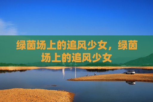 绿茵场上的追风少女，绿茵场上的追风少女