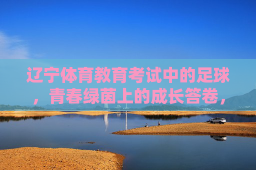 辽宁体育教育考试中的足球，青春绿茵上的成长答卷，辽宁体育教育考试足球，青春绿茵上的成长答卷