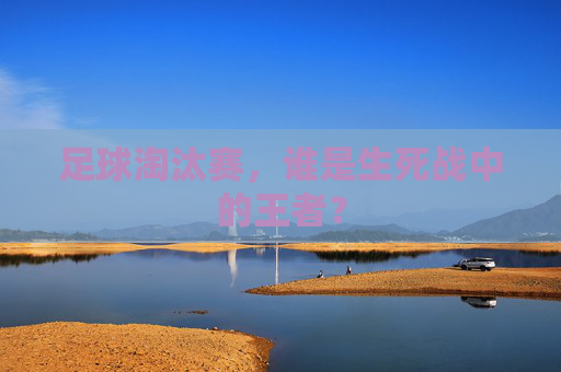 足球淘汰赛，谁是生死战中的王者？