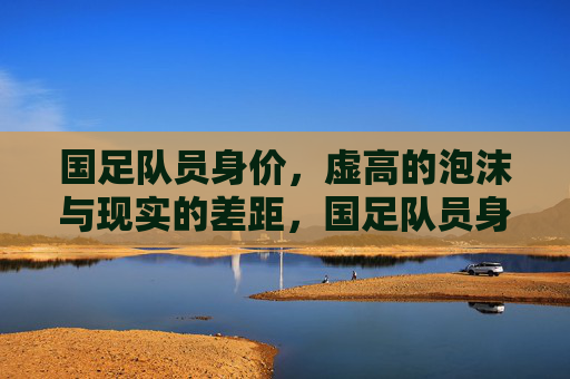 国足队员身价，虚高的泡沫与现实的差距，国足队员身价，虚高泡沫与现实的鸿沟