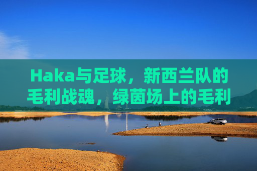 Haka与足球，新西兰队的毛利战魂，绿茵场上的毛利战魂，新西兰队与Haka