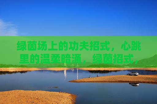 绿茵场上的功夫招式，心跳里的温柔暗涌，绿茵招式，心跳暗涌