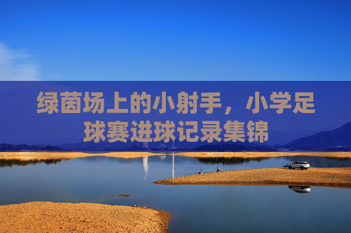 绿茵场上的小射手,小学足球赛进球记录集锦 绿茵场上的小射手,小学足球赛进球记录集锦