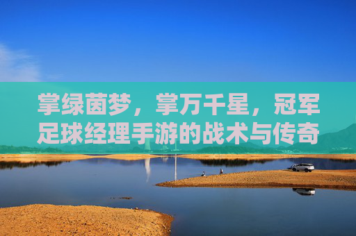 掌绿茵梦,掌万千星,冠军足球经理手游的战术与传奇之旅,冠军足球经理手游,掌战术之策,燃传奇星梦 掌绿茵梦,掌万千星,冠军足球经理手游的战术与传奇之旅,冠军足球经理手游,掌战术之策,燃传奇星梦