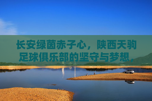 长安绿茵赤子心,陕西天驹足球俱乐部的坚守与梦想,长安绿茵赤子心——陕西天驹足球俱乐部的坚守与梦想 长安绿茵赤子心,陕西天驹足球俱乐部的坚守与梦想,长安绿茵赤子心——陕西天驹足球俱乐部的坚守与梦想