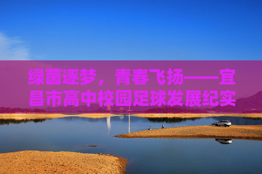 绿茵逐梦，青春飞扬——宜昌市高中校园足球发展纪实