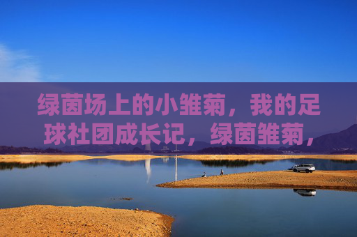 绿茵场上的小雏菊，我的足球社团成长记，绿茵雏菊，足球社团成长记