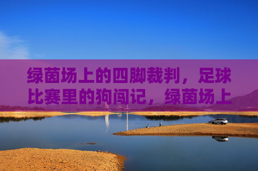 绿茵场上的四脚裁判,足球比赛里的狗闯记,绿茵场上的四脚裁判,足球比赛狗闯记 绿茵场上的四脚裁判,足球比赛里的狗闯记,绿茵场上的四脚裁判,足球比赛狗闯记