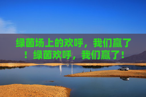 绿茵场上的欢呼,我们赢了!绿茵欢呼,我们赢了! 绿茵场上的欢呼,我们赢了!绿茵欢呼,我们赢了!