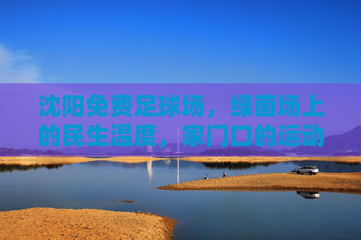 沈阳免费足球场，绿茵场上的民生温度，家门口的运动乐园，沈阳免费足球场，民生温度下的家门口运动乐园