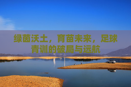 绿茵沃土,育苗未来,足球青训的破局与远航 绿茵沃土,育苗未来,足球青训的破局与远航