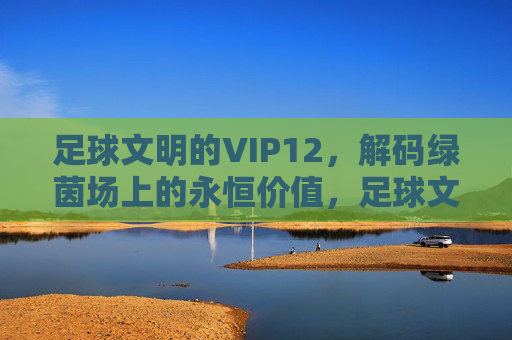 足球文明的VIP12,解码绿茵场上的永恒价值,足球文明VIP12,解码绿茵场永恒价值 足球文明的VIP12,解码绿茵场上的永恒价值,足球文明VIP12,解码绿茵场永恒价值