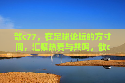歆c77，在足球论坛的方寸间，汇聚热爱与共鸣，歆c77的足球论坛，方寸间汇聚热爱与共鸣