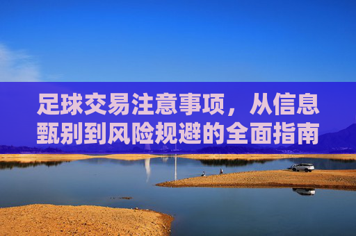 足球交易注意事项，从信息甄别到风险规避的全面指南，足球交易全指南，从信息甄别到风险规避