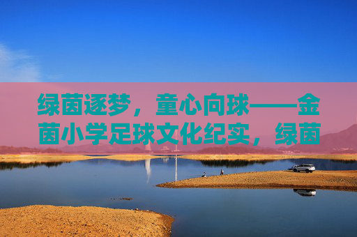 绿茵逐梦,童心向球——金茵小学足球文化纪实,绿茵逐梦,童心向球——金茵小学足球文化 绿茵逐梦,童心向球——金茵小学足球文化纪实,绿茵逐梦,童心向球——金茵小学足球文化