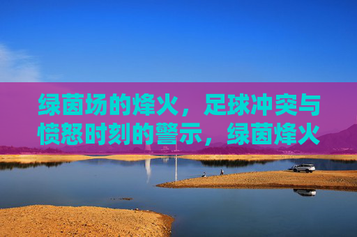 绿茵场的烽火,足球冲突与愤怒时刻的警示,绿茵烽火,足球冲突与愤怒警示 绿茵场的烽火,足球冲突与愤怒时刻的警示,绿茵烽火,足球冲突与愤怒警示