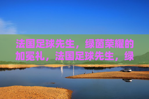 法国足球先生，绿茵荣耀的加冕礼，法国足球先生，绿茵荣耀的加冕礼
