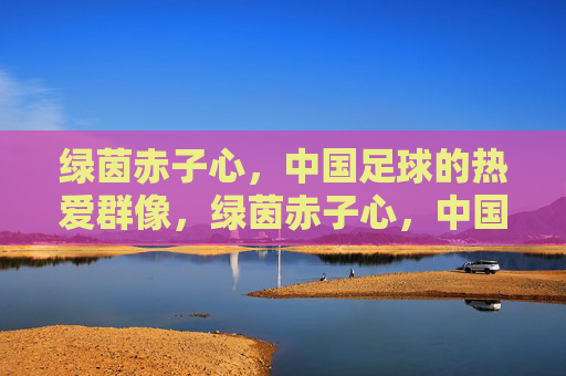 绿茵赤子心，中国足球的热爱群像，绿茵赤子心，中国足球热爱群像