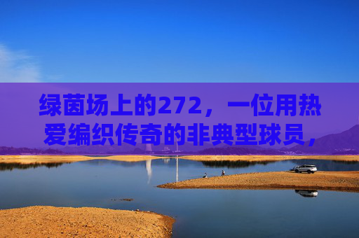 绿茵场上的272，一位用热爱编织传奇的非典型球员，绿茵场272，热爱编织的非典型传奇
