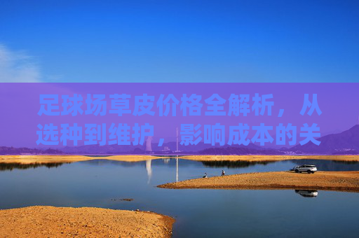 足球场草皮价格全解析，从选种到维护，影响成本的关键因素，足球场草皮价格全解析，选种到维护的成本关键因素