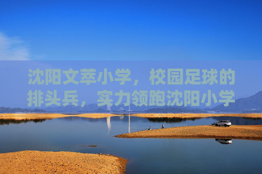 沈阳文萃小学,校园足球的排头兵,实力领跑沈阳小学足坛 沈阳文萃小学,校园足球的排头兵,实力领跑沈阳小学足坛