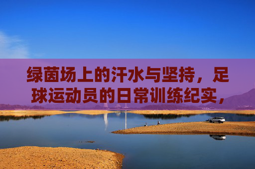 绿茵场上的汗水与坚持,足球运动员的日常训练纪实,绿茵场上的汗水与坚持,足球运动员日常训练纪实 绿茵场上的汗水与坚持,足球运动员的日常训练纪实,绿茵场上的汗水与坚持,足球运动员日常训练纪实