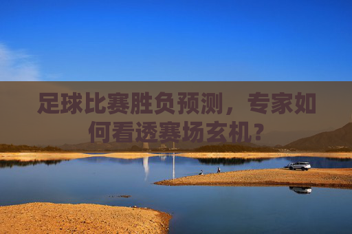 足球比赛胜负预测,专家如何看透赛场玄机? 足球比赛胜负预测,专家如何看透赛场玄机?