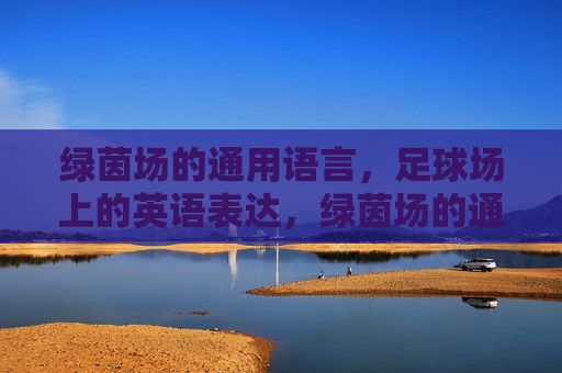 绿茵场的通用语言,足球场上的英语表达,绿茵场的通用语言,足球场上的英语表达 绿茵场的通用语言,足球场上的英语表达,绿茵场的通用语言,足球场上的英语表达