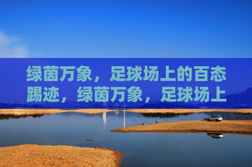 绿茵万象，足球场上的百态踢迹，绿茵万象，足球场上的百态踢迹