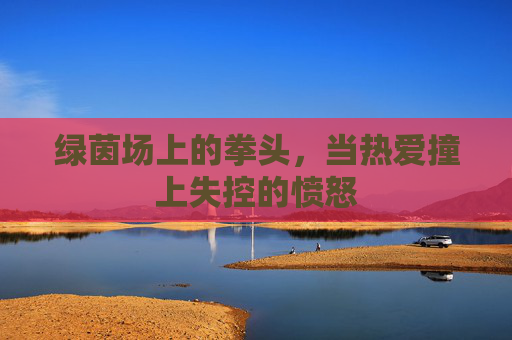 绿茵场上的拳头，当热爱撞上失控的愤怒