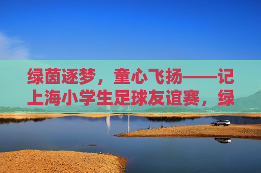 绿茵逐梦，童心飞扬——记上海小学生足球友谊赛，绿茵逐梦，童心飞扬——上海小学生足球友谊赛