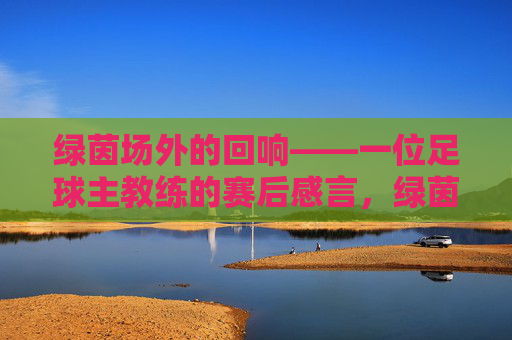 绿茵场外的回响——一位足球主教练的赛后感言,绿茵场外的回响,足球主教练赛后感言 绿茵场外的回响——一位足球主教练的赛后感言,绿茵场外的回响,足球主教练赛后感言