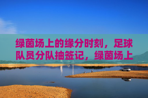绿茵场上的缘分时刻,足球队员分队抽签记,绿茵场上的缘分抽签 绿茵场上的缘分时刻,足球队员分队抽签记,绿茵场上的缘分抽签