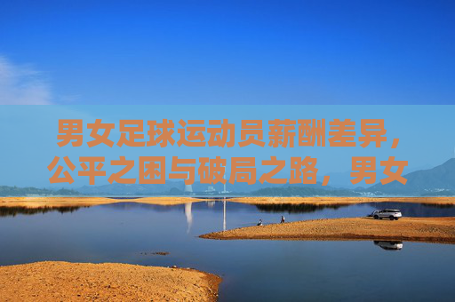 男女足球运动员薪酬差异，公平之困与破局之路，男女球员薪酬差异，公平之困与破局之路