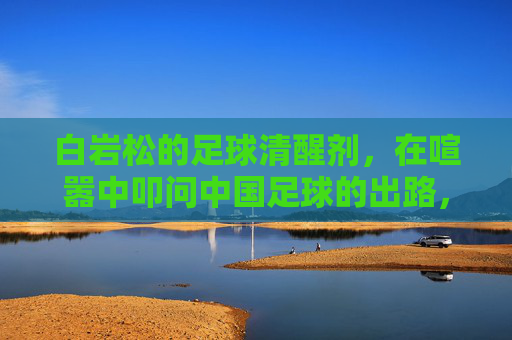 白岩松的足球清醒剂,在喧嚣中叩问中国足球的出路,白岩松的足球清醒剂,喧嚣中叩问中国足球出路 白岩松的足球清醒剂,在喧嚣中叩问中国足球的出路,白岩松的足球清醒剂,喧嚣中叩问中国足球出路