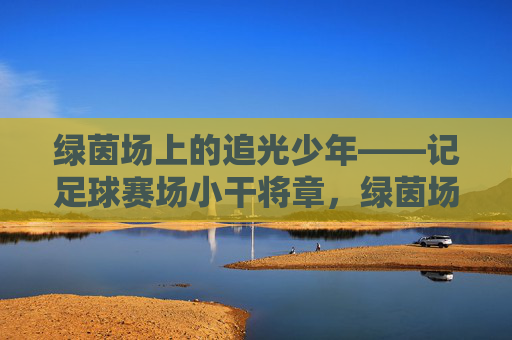 绿茵场上的追光少年——记足球赛场小干将章,绿茵场上的追光少年,足球小将章 绿茵场上的追光少年——记足球赛场小干将章,绿茵场上的追光少年,足球小将章