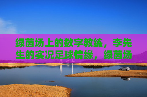 绿茵场上的数字教练，李先生的实况足球情缘，绿茵场上的数字教练，李先生的实况足球情缘